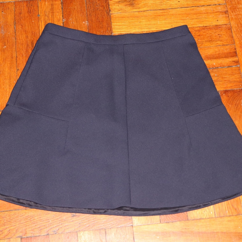 J. Crew Flare Skirt (Blue)